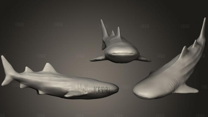 Whaleshark stl model for CNC